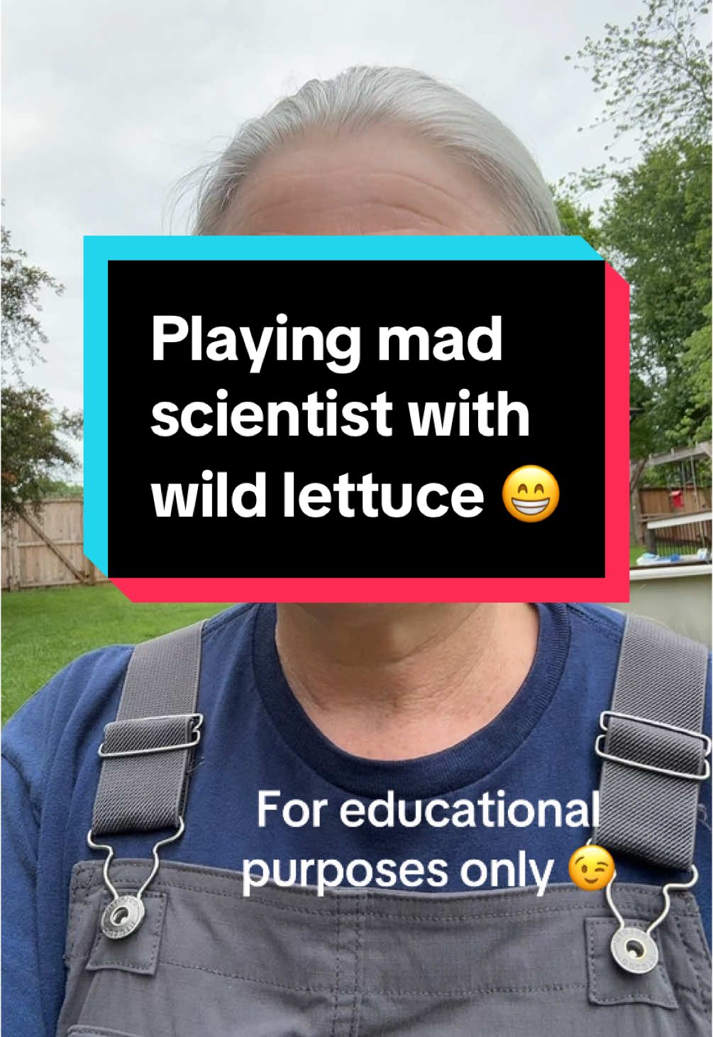 Experimenting with wild lettuce 😎. #wildlettuce #pricklylettuce #lactucavirosa #tincture #extract #foraging #homesteading 