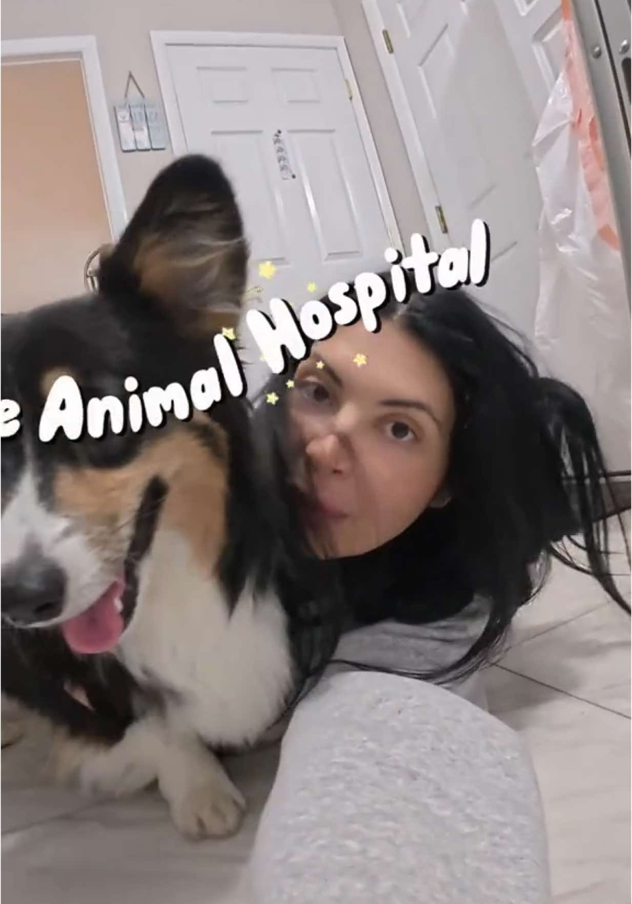Not one normal day to be had🤍 #realistic #dayinmylife #dayinthelife #dogsoftiktok #dogmom #Vlog #chaos #chaotic #unhinged #laundry #laundryday #cleaning #corgi #capcut 