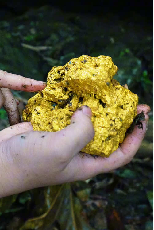 #gold #treasure #hunting #treasurehunt #diamond #goldpanning #millionviews #goldmine #goldnugget 