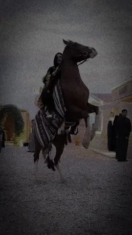 يقود العاديات السابحات النادرة في الخيل.🫀🤍✨#راشديةمطنوخة #خيل_وخياله🐎 #foryou #fyp #viral #capcut 