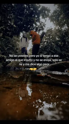 No se ustedes pero yo si tengo a ese amigo al que insulto y no se enoja, solo se rie y me dice algo peor#amigos #bro #compa #hermano 