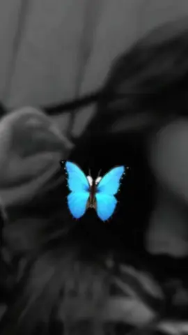 #المهرة_بتعرف_خيالا #الاخرس  #لايك_متابعه_حركة_الاكسبلور❤🦋explorer 