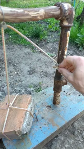 Unique homemade trap. Trap in the Forest #traps #Outdoors #survival #bushcraft