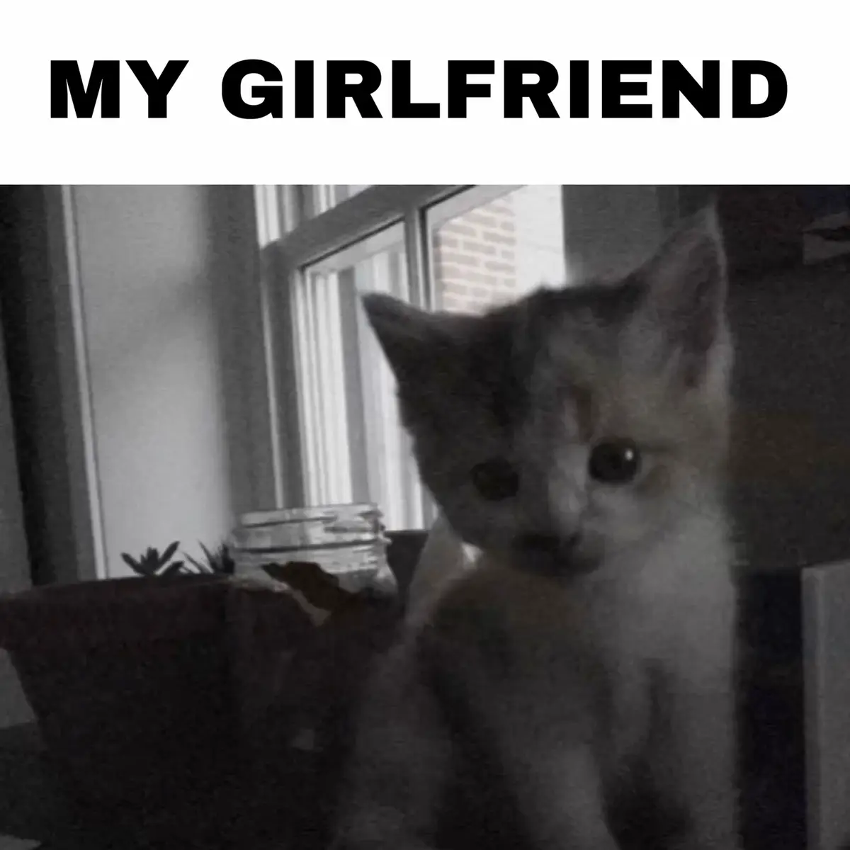я люплю тя #fyp #котики #fypシ゚ #Love 