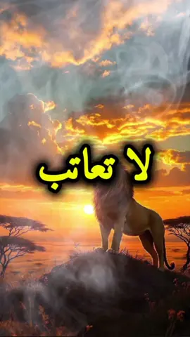 #𓅃