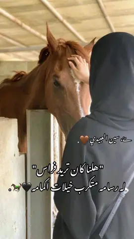 #الخيل_عشق_لاينتهي🐎🤎🤎🤎🤎🤎. #المرج_بنغازي_البيضاء_طرابلس_ليبيا #العراق_السعوديه_الاردن_الخليج #الجزائر_تونس_المغرب 