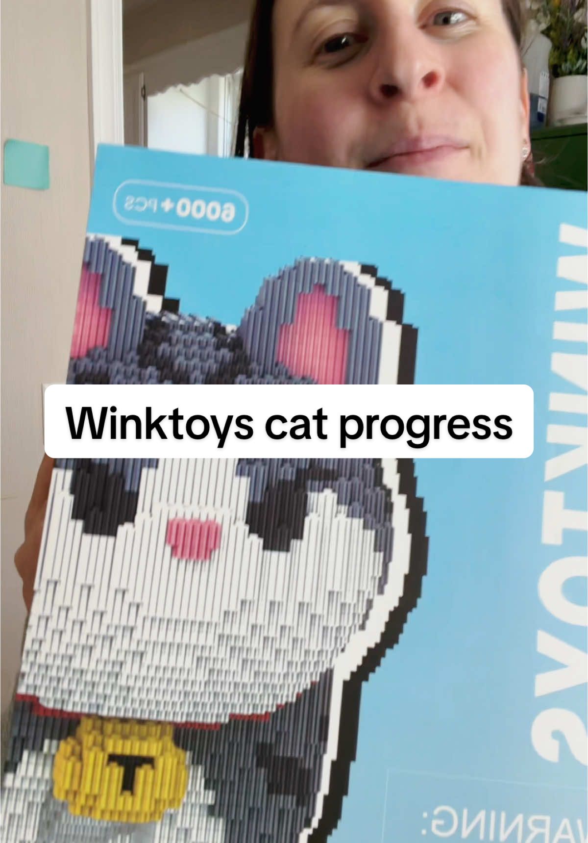 Check back for progress updates on my Winktoys Kitty. Or join me and let me know how far you are. 