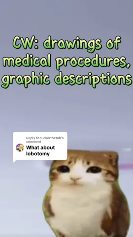 Replying to @tuckerthetub todays lecture is on lobotomies #Science #stem #psychology #neuroscience #chemistry #biology #university #college #meowl 