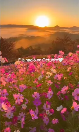 Octubre🤍 #fyp #paratiiiiiiiiiiiiiiiiiiiiiiiiiiiiiii #viralvideos #octubre🎃 #vibes #girls #girlsgirl #foryoupage #foryoupage❤️❤️ #iconicmoments #octubre 