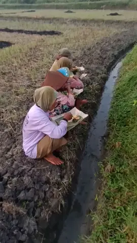 Selamat pagi bu tani #petanimuda #petaniindonesia🇮🇩🇮🇩🇮🇩🌿🌿 #petanimodern #petanisukses #pejuangrupiah #sawahpedesaan #bosmuda #bahanswmu #bahanstory #bismillahfyp #bismillah #bismilahrame #harusfyp #gakpernahfyp #gaksukaskip📵 #gakdingintetepseger #gakpernahfyp😭 #lewatberanda #lewatberandafyp #lewatberandamu #lewatberandafypシ #hiburantiktok😁✌ #xybca #yzxcba #tiktokindia #tiktokviral #tiktoknews #tiktoker #vidioviraltiktok #masukberanda #masukberandafyp #masukfyp #masukberandamuu #fypage #fyppppppppppppppppppppppp #fypシ゚ #fypdong #fypgakni #fypシ゚viral🖤tiktok #viralvideo #viraltiktok #viralvideotiktok #viralvideos #gratisongkir #beranda #berandatiktok #berandafyp #tren #trend #trendingsong #promosale #promobelanja #promotiktok #promotiktokshop #bigsale #gratisongkirtiktok #virale #pejuangfyp #trendingreels  #trendingnow #trendingtiktok #affiliatemarketing #affiliate #affiliatetiktok #affiliatepemula #reels #reels__tiktok #story #storytime #storywa #cekkeranjangkuning #nganjukhits #nganjukviral #nganjukstory  #nganjuk24jam #nganjukkotaangin #nganjuk_jawa_timur 