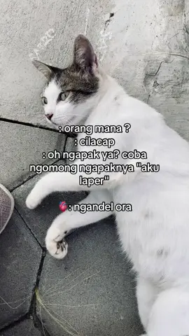ngelih? kencot? kruwuken? #cilacapngapak #cilacap24jam #ngapakpride #ngapakbanyumas 