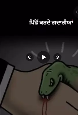 #ਬਚੋ ਇਹੋ ਜਿਹੇ ਯਾਰਾਂ ਤੋ #aucklandpunjabi 