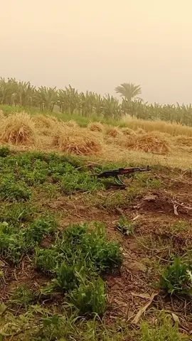 بتورينا الصوره صريحه 🌍#العمدةابوعبدالخالق 
