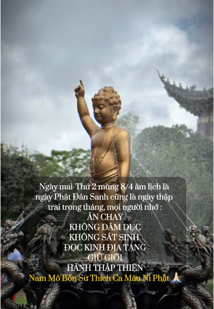 Vào ngày Phật Đản, các Phật tử không sát sinh, mọi người đều ăn chay, lau dọn vệ sinh nhà cửa và trang trí bàn thờ Phật thật đẹp. Các Phật tử có thể đến chùa để phụ giúp làm công quả, nghe các bài thuyết giảng về cuộc sống, tự chiêm nghiệm về hành động của bản thân để làm cho tâm hồn được thanh tịnh. #daophattrongtraitimtoi #đaophat #phatphapnhiemmau 