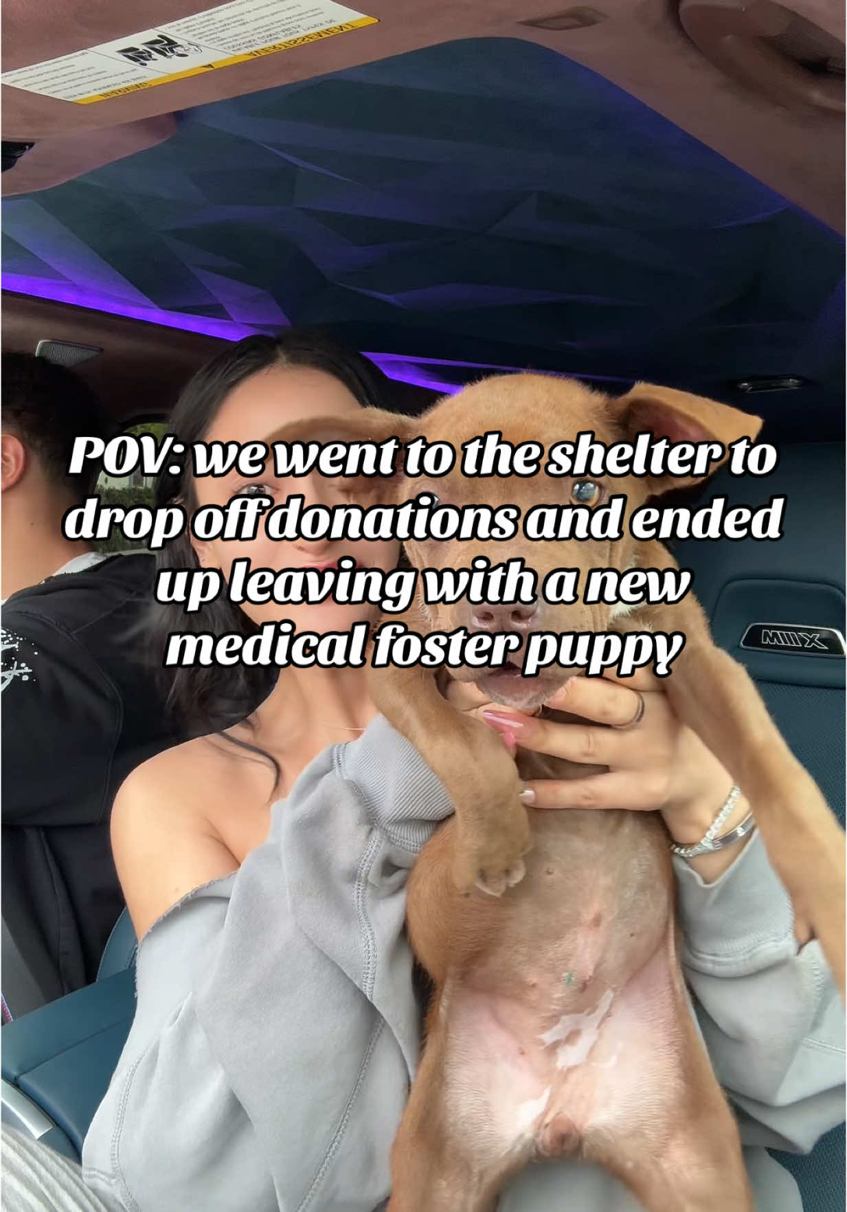 This is Kiwi everyone🥝 we couldn’t leave her in there. She just got surgery poor baby. she will be up for adoption when she’s a bit more healthy🤍