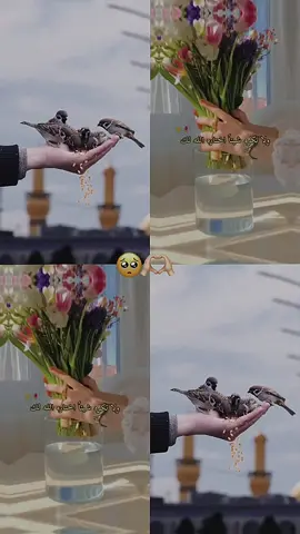 #ونعم_باالله_العلي_العظيم 