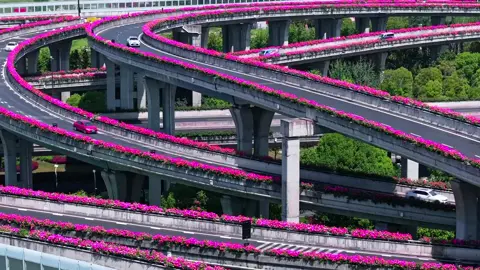 Flower-lined roads in Hangzhou of Zhejiang province in east China.  Enjoy spring on the way! 🌺🛣
