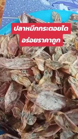 ปลาหมึกกระตอยไดคัดไชตัวสวยเค็มน้อย#ปลาหมึกแห้ง #ปลาหมึกกระตอย #ปลาหมึกกระตอย 