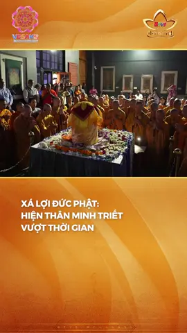 Sự huyền nhiệm của Xá lợi Đức Phật. #anvientv #btv9 #anvientvbchannel #bchannel #vesak #vesak2025 #vesaklhq #xaloiphat #ducphat