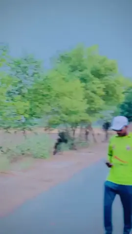 #buckle up #foryoupage #fyp #samisheikh #56 