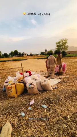 چینگی تہ انتظر دا 😜#fyp #repost #tiktokviral #fyppppppppppppppppppppppp #1mviews #100kfollowers #tiktokviral @TiktokPakistanOfficial 