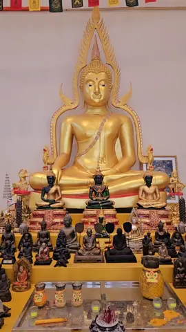 每日念经祈福🙏🙏🙏