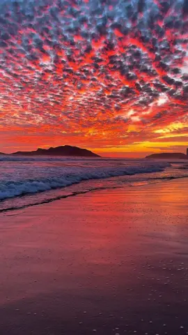 🌅 Los atardeceres en #Mazatlán enamoran. ✨ ¡Un momento perfecto para disfrutar!  💛💛🧡🧡
