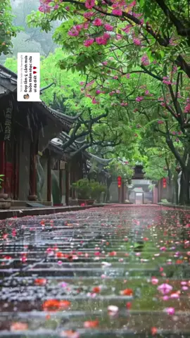 Trả lời @havang06 nghe nhạc nghe mưa rơi, thấu lòng người#chill #xuhuong #tamtrang #😊😊😊😊😊😊😊❤️❤️❤️❤️ #