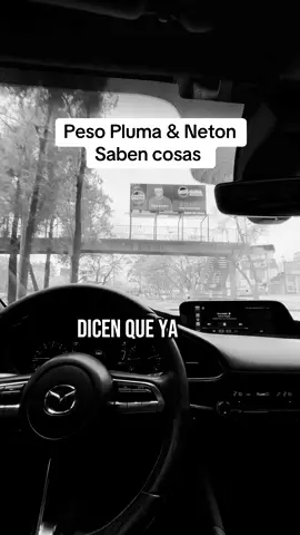 Que sabrán @Peso Pluma @Neton 