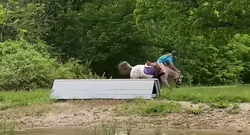Harse back fail#fyp #viral #funny #fail 