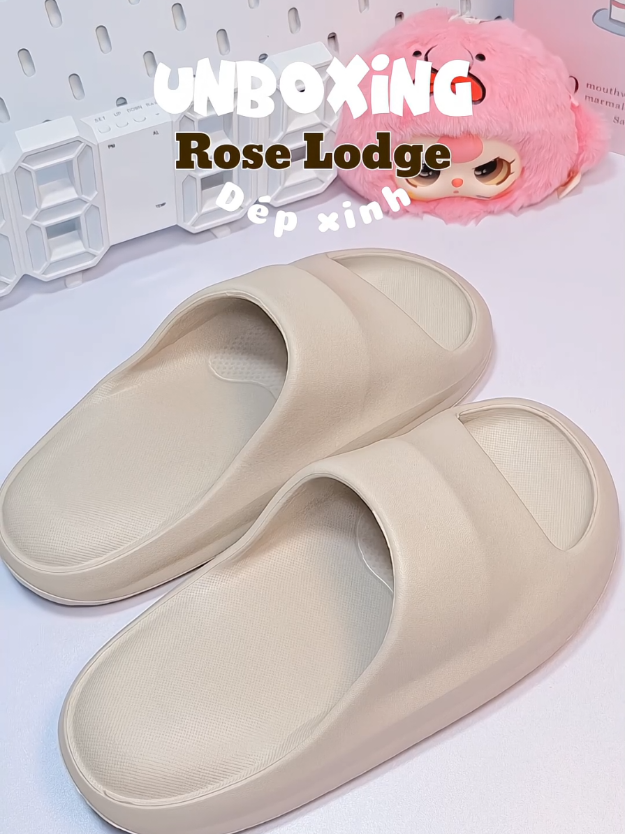 Dép siuu xinh lại còn hạt dẻ 🌰 ✨️ #roselodge #dechongtruot #dep #depchongtrontruot #depxinh #deple #deproselodge #depdep #depnu #depnam #unboxing #xuhuong #viral #viralvideo #trending #fyp 