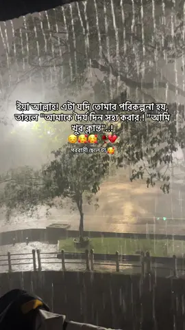 #sed #kepson_video #vairalvideo #foruyou #opnajim54 #এই_ভিডিও_টা_ভাইরাল_করিয়ে_দাও #😭😭😭😭😔😔😔😔😔😔😔😭😭😭😭 