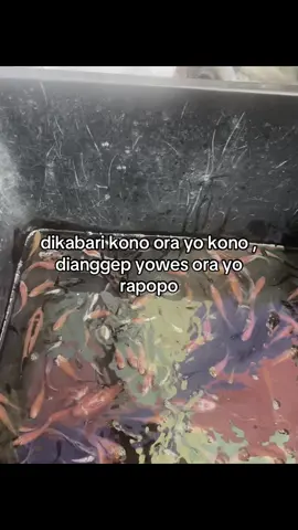 #fyp #foryou #moost? #4u 