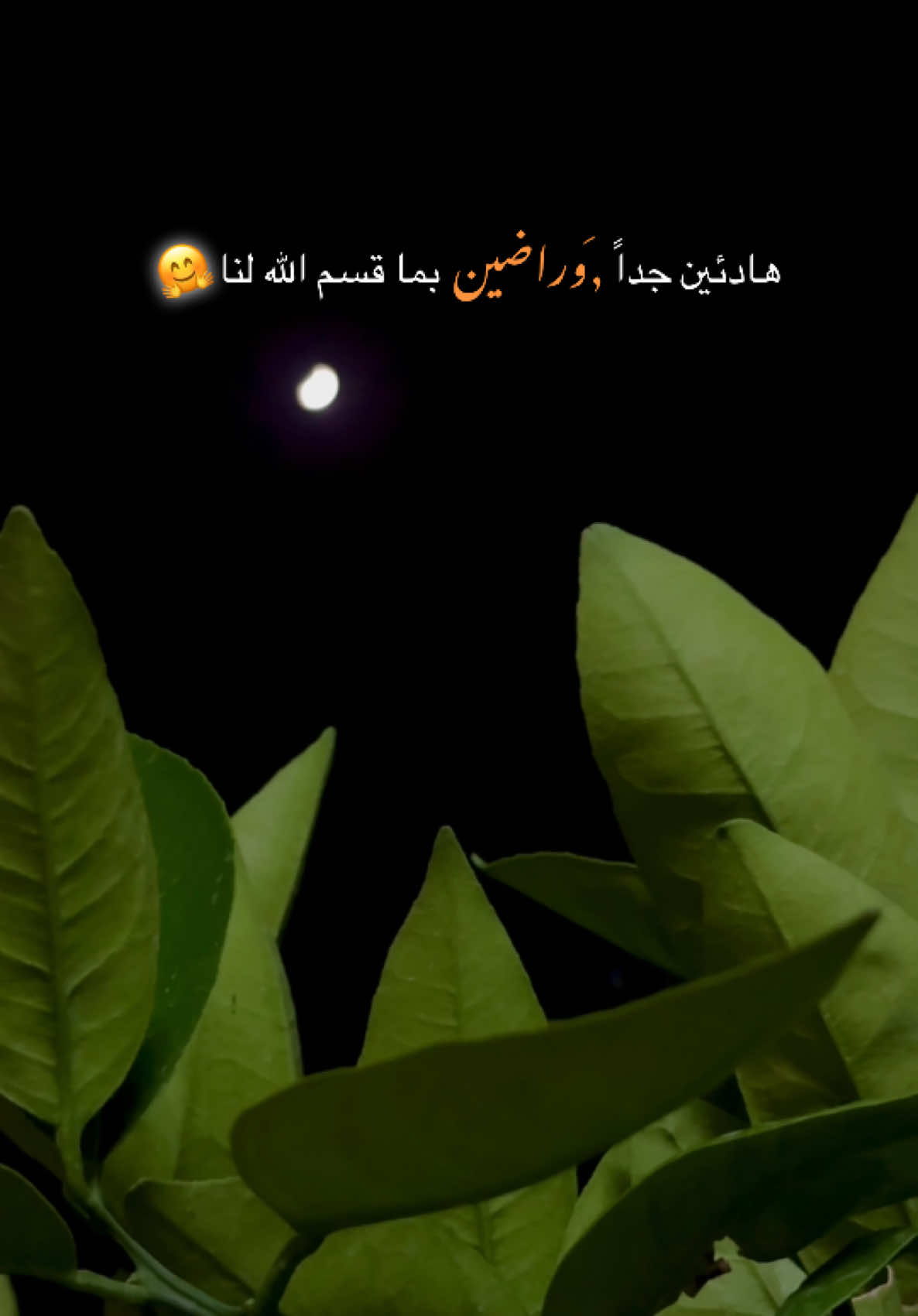 هادئين جداً وراضين بما قسم الله لنا🤗 #تصميم_فيديوهات🎶🎤🎬 #تصويري #عباراتكم_الفخمه📿📌 #تصميمي #اكسبلور_تيك_توك #اقتباسات #CapCut 