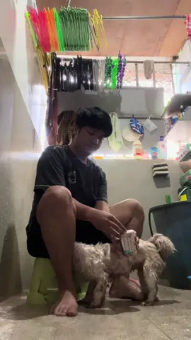 Gumamit ka ng tamang sabon para sa alaga mong aso o pusa para hindi sila magkasakit #vetnoderm #vetnodermsoap 