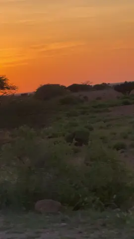 #qorax subax soo bax mase qorax dhac. Isku day fikirkaga salima#