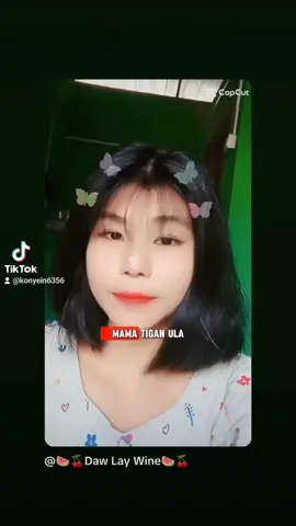 ချစ်လင်ရဲ့