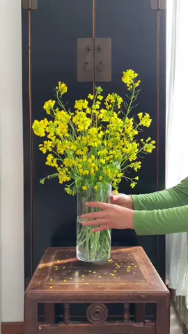 Không ồn ào, không cầu kỳ - chỉ cần một góc nhỏ bình yên là đủ thấy hạnh phúc 🧡 #chill #thichcamhoatainha #lohoadep #camhoadongian #nhungkhoanhkhacdongian 