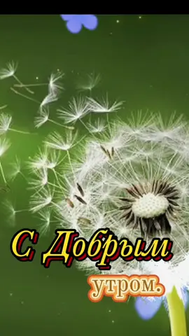 #доброеутро