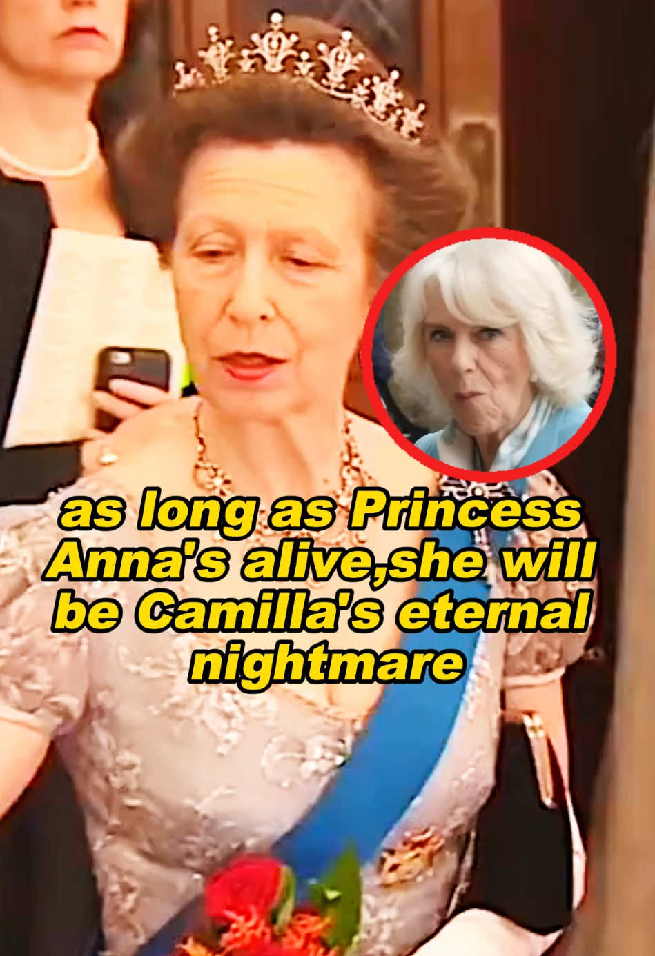 #tiktok #foryoupage #royal #princess #camilla 