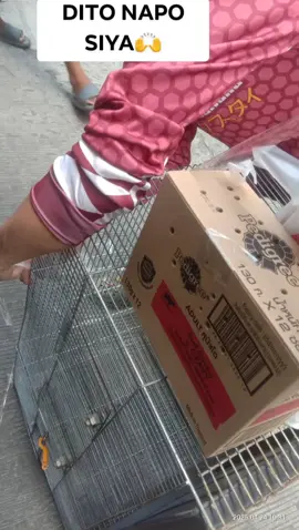 Gaano ba kahirap ang mawalan ng minamahal? mawalan kana ng matalik na kaibigan wag lang ng alaga na minahal mo at tinuring na parang anak My Kuyiyet/kulet/tres #fyp #fypシ゚viral #birdsoftiktok 