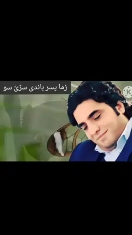 #foryou #viral #bahramjanofficial #bahramzazai #viralvideo #بھرام_جان_غمجنہ_مسافری🎶💯💔ٴ #repost 
