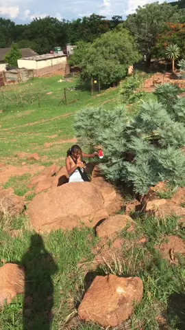 #ibelechallenge #uzenenye #lesbiansoftiktok #lgbt🌈 #fyppppppppppppppppppppppp #emqashweni #trendingvideo #viralvideos #eyomgunyathi 