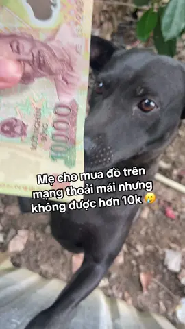 10k thì mua gì đây!!!! #xh #xuhuong #hottrend #viral #Torvang #fyp #10k #foryou 