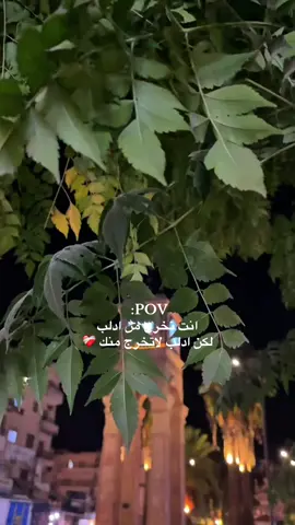 #CapCut  #ادلب #💔 