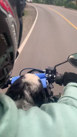 #nttpride🏝🔥kupangntt💯  salam dari Bambel🐶😎