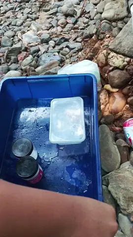 puchau urang indu #camping #betongsarawak #sarawaktiktok #fypdonggggggg #fyp #fyppppppppppppppppppppppp #fyppppppppppppppppppppppp #xybca #fyp #borneosarawak #fypシ゚viral🖤tiktok #ibansarawak #tranding #masukberanda #viralvideo #viralvideo #viralvideo 