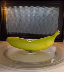 microwave VS banana 🍌 🌴🌗😎 what's next? #banana #palm #fruits #sea #paradise 