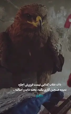 عالی ،،، ذات عقاب باشد ،، #تیک_تاک_ایرانی #فارسی_تیک_تاک #ذات #ایران #حرف #فوریو #انسان #نوستالژی #persiantiktok #onthisday #iran 