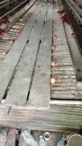 tak akan pernah aq lupa kan atas kejam nya orang terhadap diri qu😭